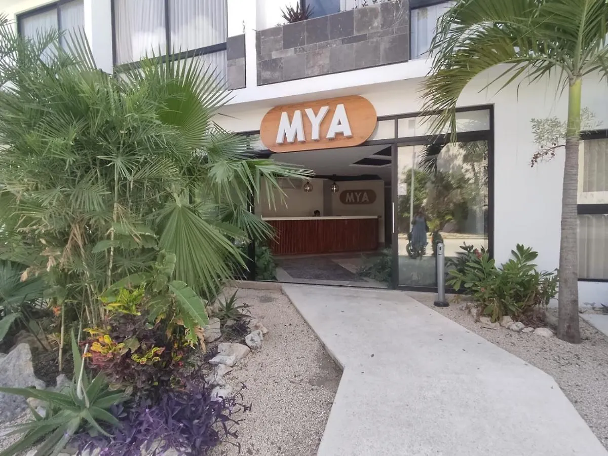Nuevo Estudio Con Terraza Totalmente Equipado Tulum Aldea Zama Mexico